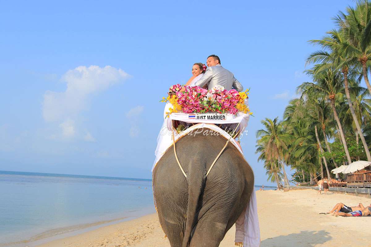 Organisation-Mariage-marier-maries-mariee-ceremonie-Thailande-Plage-ile-Koh-Samui-Island-thai-evenementiel-evenements-demande-fiancailles-EVJF-EVG-noces-voyages-Wedding-ceremony-Planner-Thailand-Beach-Events-event-request-bachelor-bachelorette-groom-bride-bridal-Elephant-entree-shooting-photos-arrivee-32