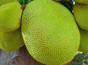 fruits asiatiques